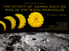 2019-The-Effect-of-Gamma-Rays-on-Man-in-the-Moon-Marigolds-Arkle-flyer