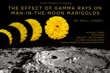 The Effect of Gamma Rays on Man in the Moon Marigolds